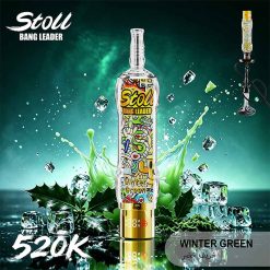 Bang Leader Stoll 520K Puffs Shisha Hookah Vape Wholesale 05 Winter Green