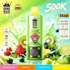 Bang Blaze 15in1 500K Puffs Disposable Vape Wholesale 09 Strawberry Kiwi