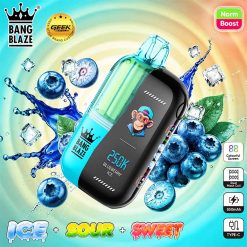 Bang Blaze 250K Puffs Disposable Vape Wholesale 02 Blueberry Ice
