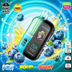 Bang Blaze 250K Puffs Disposable Vape Wholesale 11 Blueberry Red Bull
