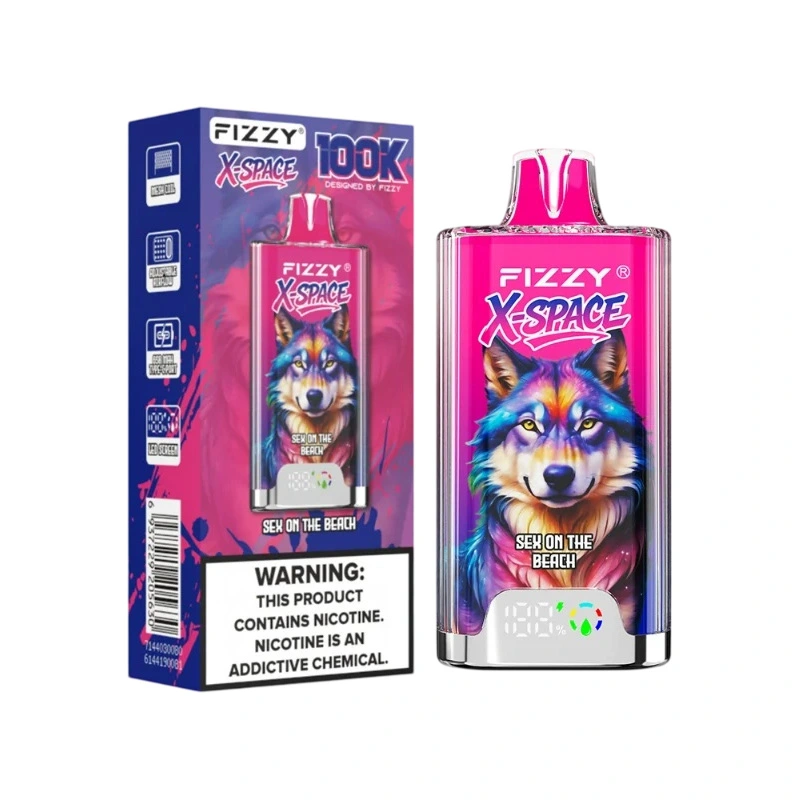 Fizzy X Space 100K Puffs Disposable Vape Wholesale