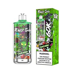 Razz Solo 60K Puffs Disposable Vape Wholesale EU Warehouse 17 Cool mint