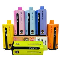 WASPE Quinton 10in1 500K Puffs Disposable Vape Wholesale 1
