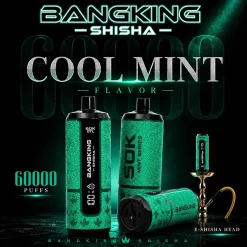 Bang King Shisha 60K Puffs DTL Disposable Vape Wholesale 05# Cool Mint