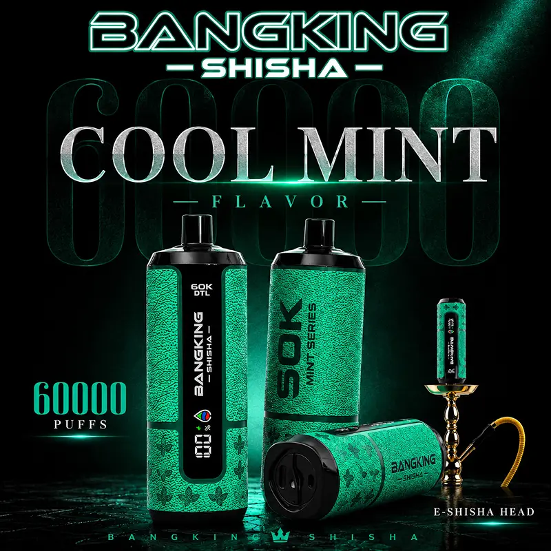Bang King Shisha 60K Puffs DTL Disposable Vape Wholesale 05# Cool Mint