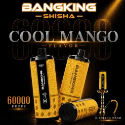 Bang King Shisha 60K Puffs DTL Disposable Vape Wholesale 10# Cool Mango