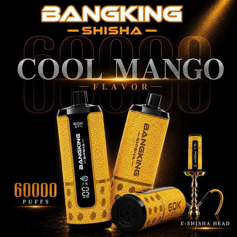 Bang King Shisha 60K Puffs DTL Disposable Vape Wholesale 10# Cool Mango