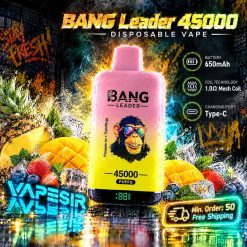 Bang Leader 45000 Puffs 2in1 Disposable Vape Wholesale 1