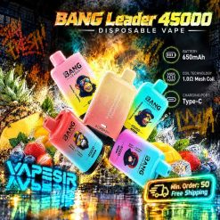 Bang Leader 45000 Puffs 2in1 Disposable Vape Wholesale 2