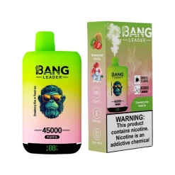 Bang Leader 45000 Puffs 2in1 Disposable Vape Wholesale