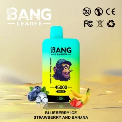 Bang Leader 45000 Puffs 2in1 Disposable Vape Wholesale Blueberry Ice Strawberry and Banana