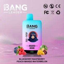 Bang Leader 45000 Puffs 2in1 Disposable Vape Wholesale Blueberry Raspberry Peach Mango Watermelon