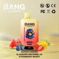 Bang Leader 45000 Puffs 2in1 Disposable Vape Wholesale Blueberry Watermelon Strawberry Mango