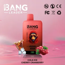 Bang Leader 45000 Puffs 2in1 Disposable Vape Wholesale Cola Ice Cherry Cranberry