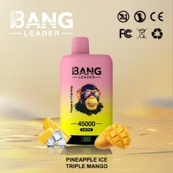 Bang Leader 45000 Puffs 2in1 Disposable Vape Wholesale Pineapple Ice Triple Mango