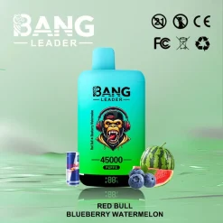 Bang Leader 45000 Puffs 2in1 Disposable Vape Wholesale Red Bull Blueberry Watermelon