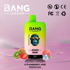 Bang Leader 45000 Puffs 2in1 Disposable Vape Wholesale Strawberry Kiwi Peach Ice