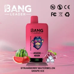 Bang Leader 45000 Puffs 2in1 Disposable Vape Wholesale Strawberry Watermelon Grape Ice