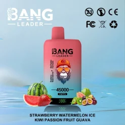 Bang Leader 45000 Puffs 2in1 Disposable Vape Wholesale Strawberry Watermelon Kiwi Passion Fruit Guava