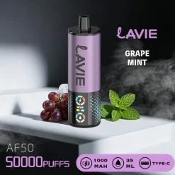 Lavie AF50 Shisha 50K Puffs DTL Disposable Vape Wholesale 09 Grape Mint