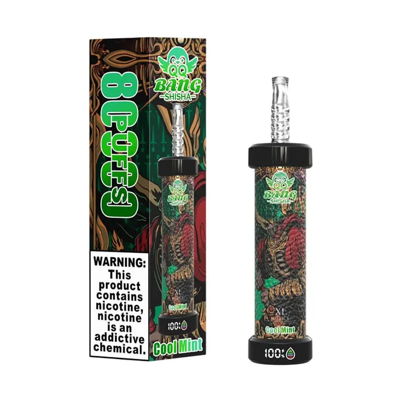 QQ Bang Shisha 80000 Puffs DTL Disposable Vape Wholesale 01 Cool Mint