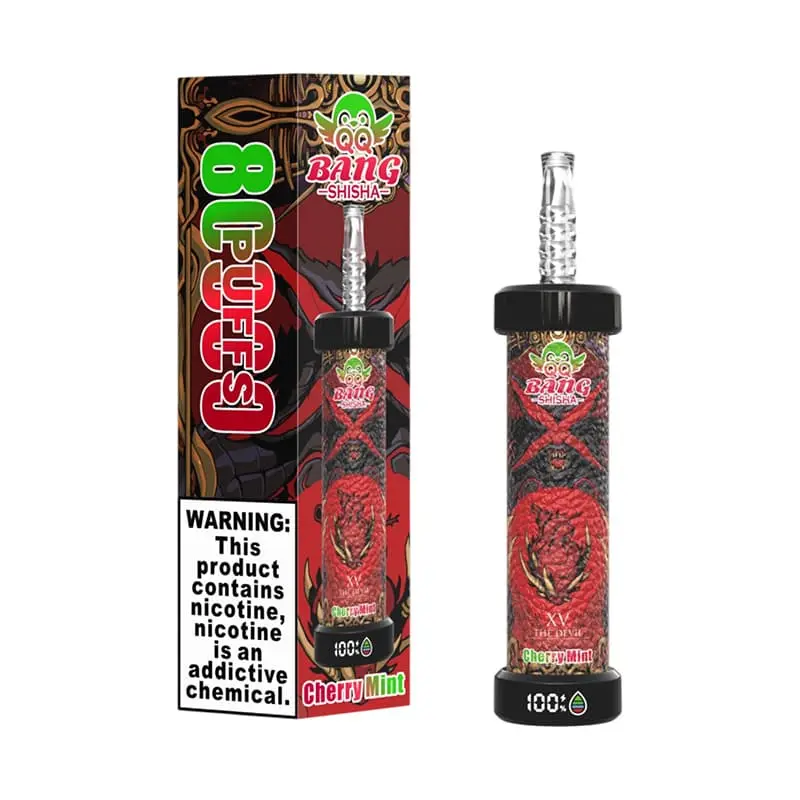 QQ Bang Shisha 80000 Puffs DTL Disposable Vape Wholesale 03 Cherry Mint