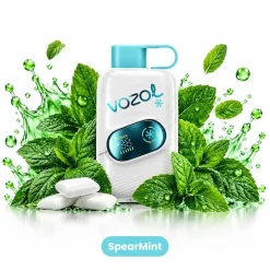 VOZOL Star Click 50K Puffs Disposable Vape EU Warehouse 07 SpearMint