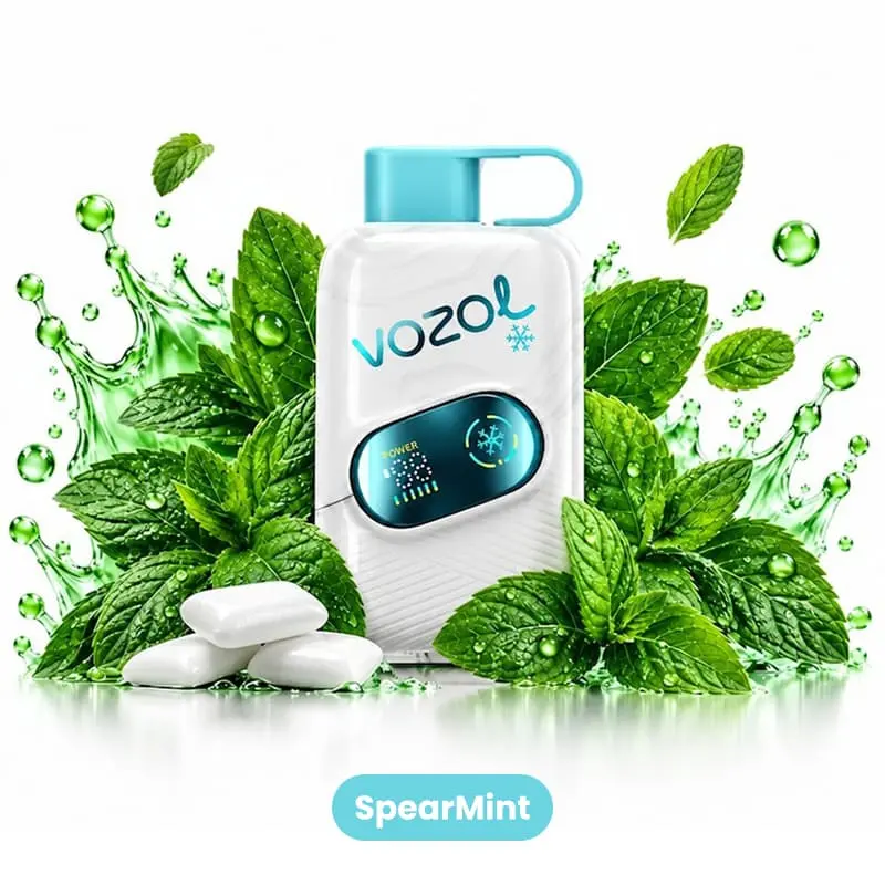VOZOL Star Click 50K Puffs Disposable Vape EU Warehouse 07 SpearMint